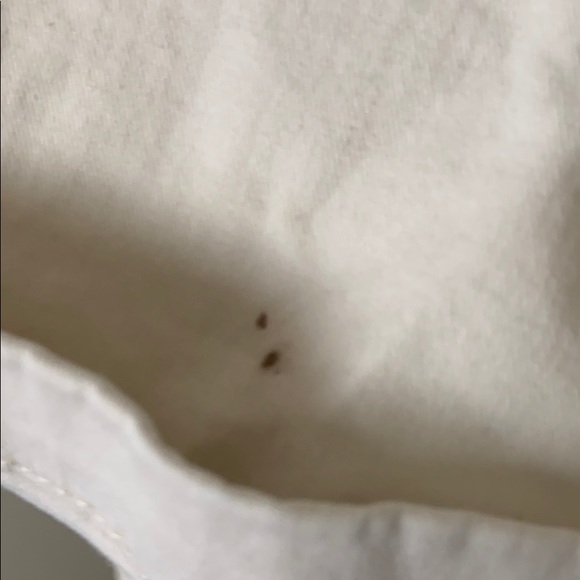 American Eagle Khaki shorts - Picture 4 of 4